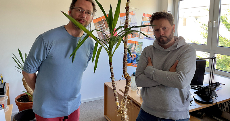 Gerrit Mathis und Benjamin Elsner stehen vor einer ziemlich erbärmlichen Pflanze.